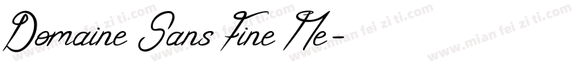 Domaine Sans Fine Me字体转换